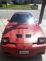 Firebird Firebird