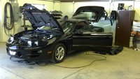 Firebird Firebird