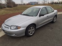 Cavalier Cavalier