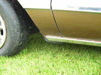 El Camino El Camino