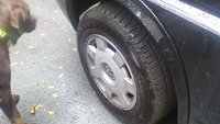 EuroVan EuroVan