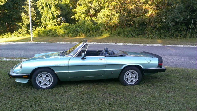 1982 Alfa Romeo Spider Pictures Cargurus