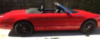 Thunderbird Thunderbird