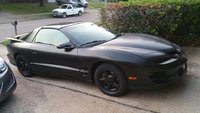 Firebird Firebird