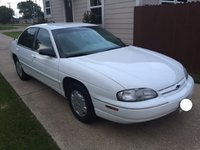 Lumina Lumina