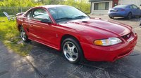 Mustang SVT Cobra Mustang SVT Cobra
