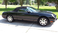 Thunderbird Thunderbird