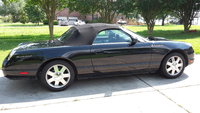 Thunderbird Thunderbird