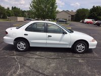 Cavalier Cavalier