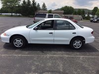 Cavalier Cavalier