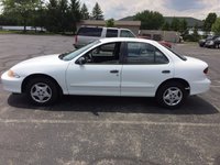 Cavalier Cavalier