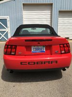 Mustang SVT Cobra Mustang SVT Cobra