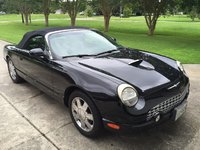 Thunderbird Thunderbird