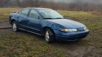 Alero Alero