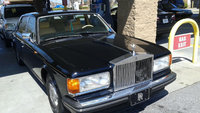 Silver Spur Silver Spur