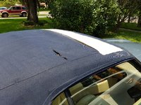 XJ-S XJ-S