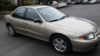 Cavalier Cavalier