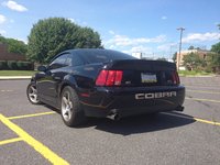 Mustang SVT Cobra Mustang SVT Cobra