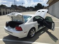 Mustang SVT Cobra Mustang SVT Cobra