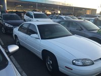 Lumina Lumina