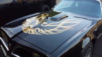 Firebird Firebird