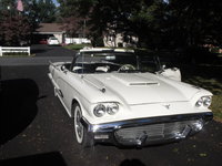 Thunderbird Thunderbird