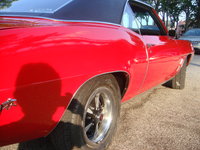 Firebird Firebird
