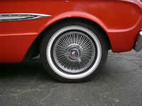 Falcon Falcon