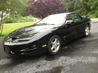 Firebird Firebird