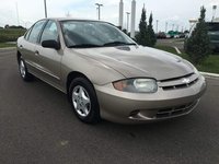 Cavalier Cavalier