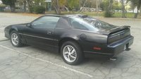 Firebird Firebird