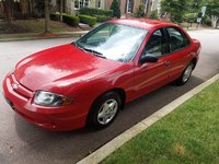 Cavalier Cavalier