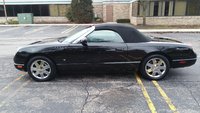 Thunderbird Thunderbird