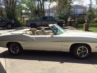 GTO GTO