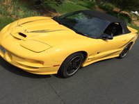 Firebird Firebird