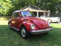 Super Beetle Super Beetle