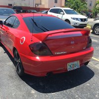 Tiburon Tiburon