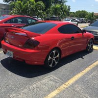 Tiburon Tiburon