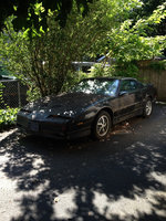 Firebird Firebird