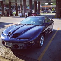 Firebird Firebird