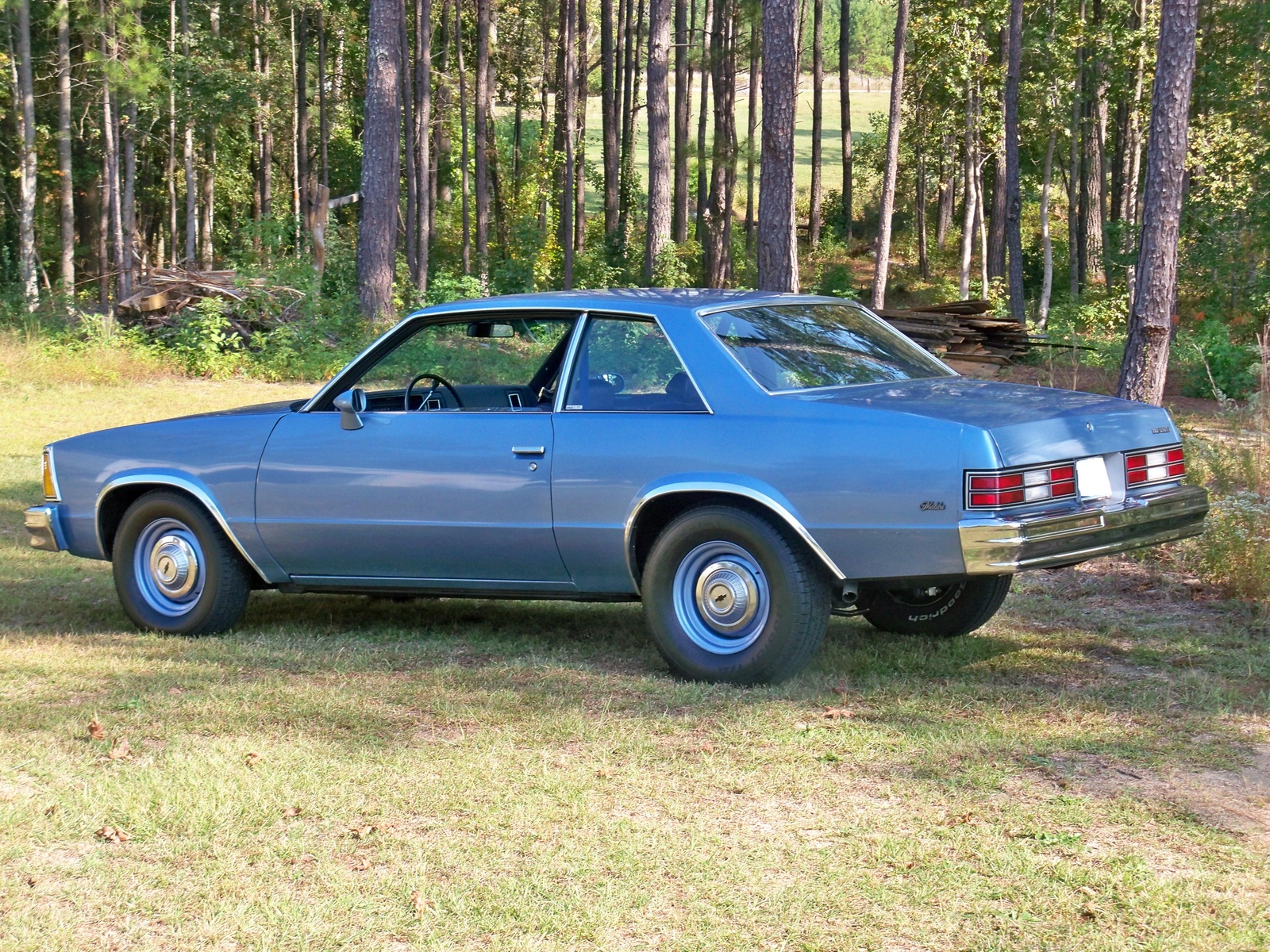 1980 Chevrolet Malibu - Overview - CarGurus