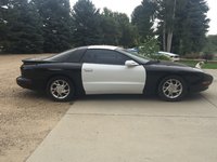 Firebird Firebird