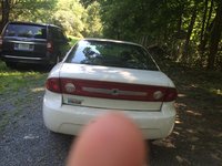 Cavalier Cavalier