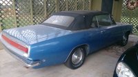 Barracuda Barracuda