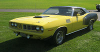 Barracuda Barracuda