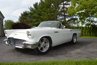 Thunderbird Thunderbird