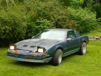 Firebird Firebird