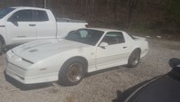 Firebird Firebird
