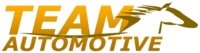 Team Automotive logo