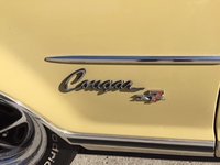 Cougar Cougar